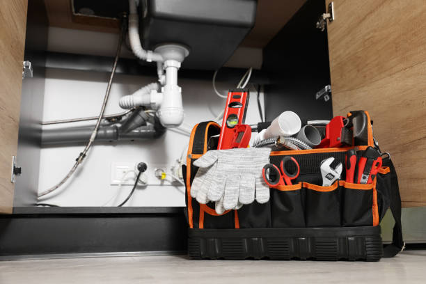 Best Plumbing Services Near Me  in Lake Delton, WI